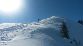 20180304_111653.jpg